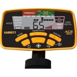 Garrett ACE 300i