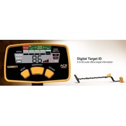 Garrett ACE 200i